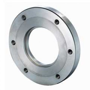 Stainless Steel Flanges